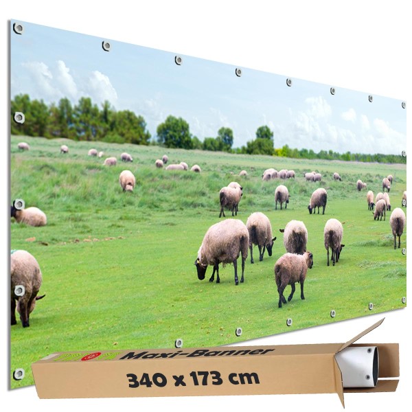 Motivbanner groß "Schafe auf der Weide" Zaunplane Gartenbanner Zaunsichtschutz, 340x173 cm