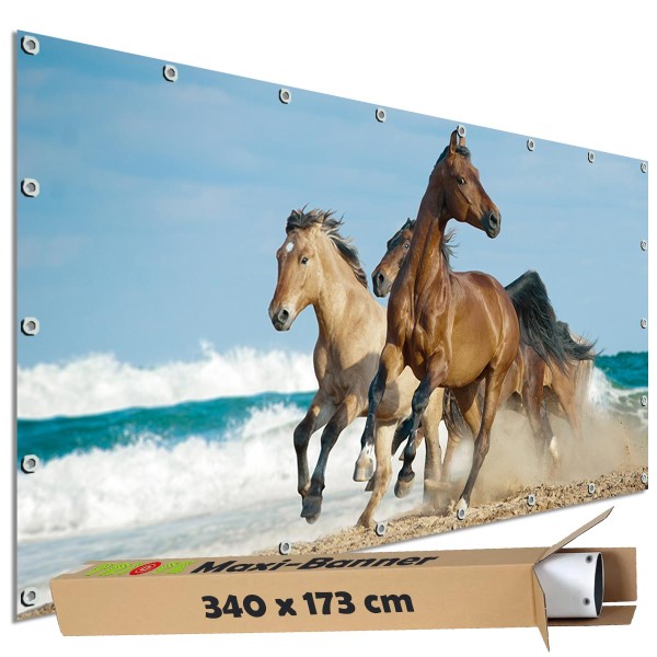 Sichtschutzbanner "Pferde am Meer" Outdoor Garten Zaun Deko Motiv Plane, 340x173 cm groß