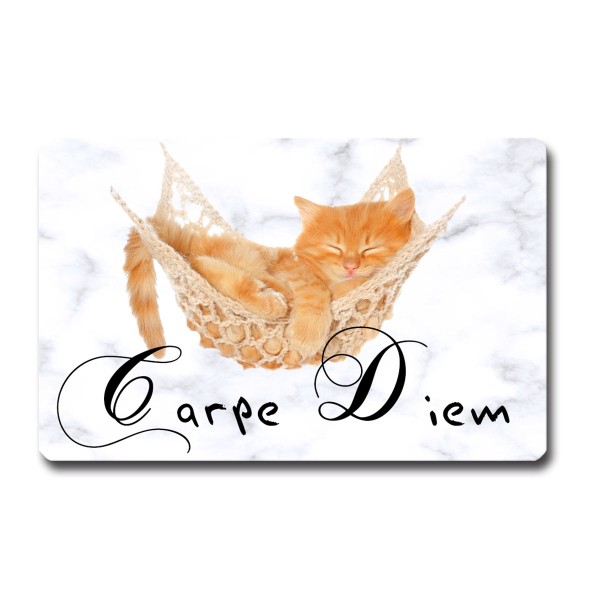 Kühlschrankmagnet Katzen Spruch lustig Katze Carpe Diem Geschenk Katzenliebhaber Magnet 85x55 mm