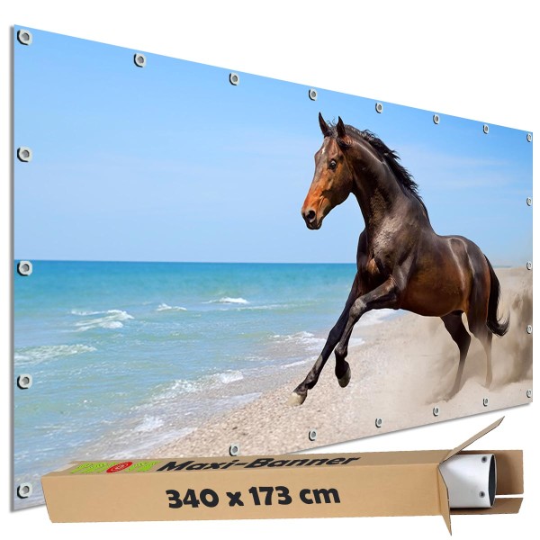 Motivbanner groß "Sandstrand Pferd" Zaunplane Gartenbanner Zaunsichtschutz, 340x173 cm