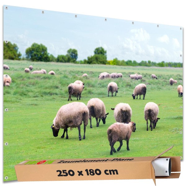 Große Motivplane "Schafe auf der Weide" Gartenposter Zaun Sichtschutz Zaunbanner, 250x180 cm