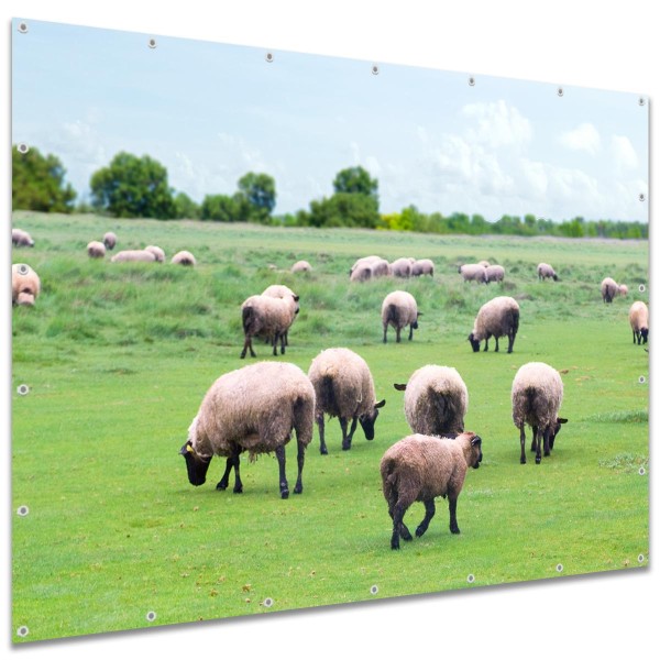 Große Motivplane "Schafe auf der Weide" Gartenposter Zaun Sichtschutz Zaunbanner, 250x180 cm