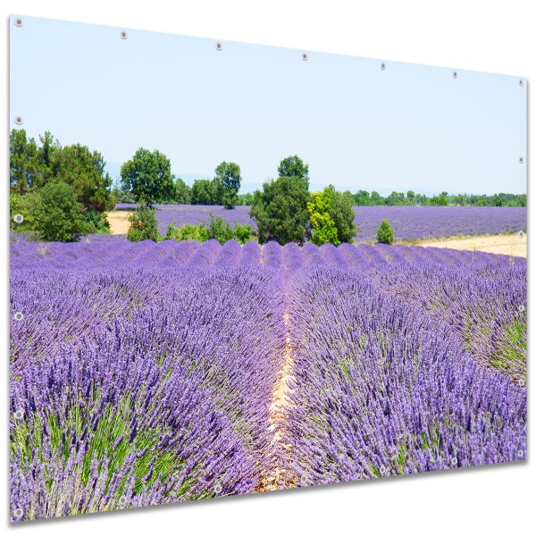 Große Motivplane "Lavendel Blütenfeld" Gartenposter Zaun Sichtschutz Zaunbanner, 250x180 cm