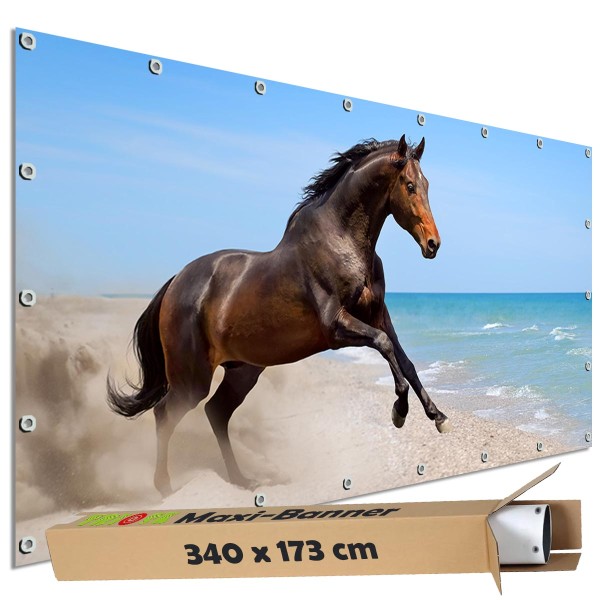 Sichtschutzbanner "Pferd am Strand" Outdoor Garten Zaun Deko Motiv Plane, 340x173 cm groß