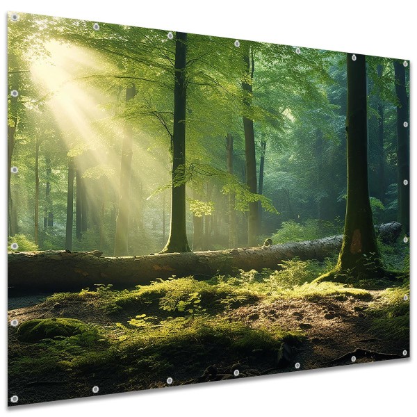 Sichtschutzplane "Wald Waldlichtung" Zaunplane Garten Zaun Deko Zaunelement, 250x180 cm groß