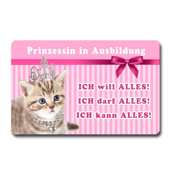 Kühlschrankmagnet Katzen Spruch lustig Prinzessin Ausbildung Geschenk Katzenliebhaber Magnet 85x55 m