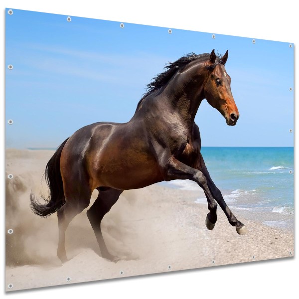 Sichtschutzplane "Pferd am Strand" Zaunplane Garten Zaun Deko Zaunelement, 250x180 cm groß