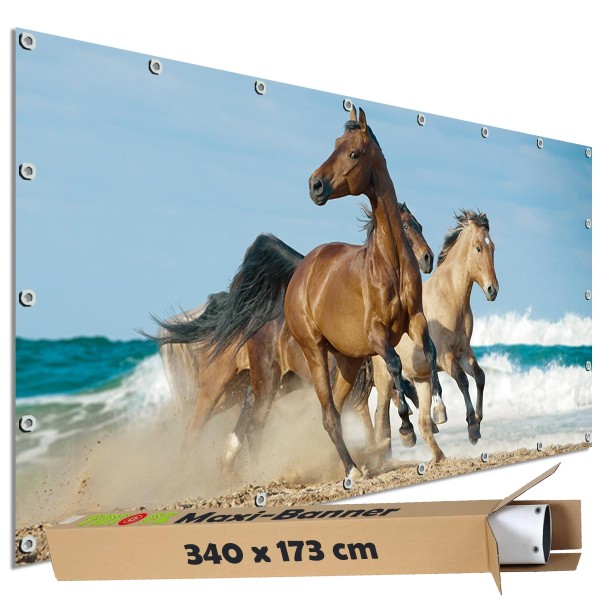 Motivbanner groß "Strandpferde am Meer" Zaunplane Gartenbanner Zaunsichtschutz, 340x173 cm
