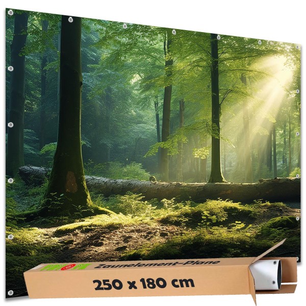 Große Motivplane "Waldplatz Sonnenspiel" Gartenposter Zaun Sichtschutz Zaunbanner, 250x180 cm