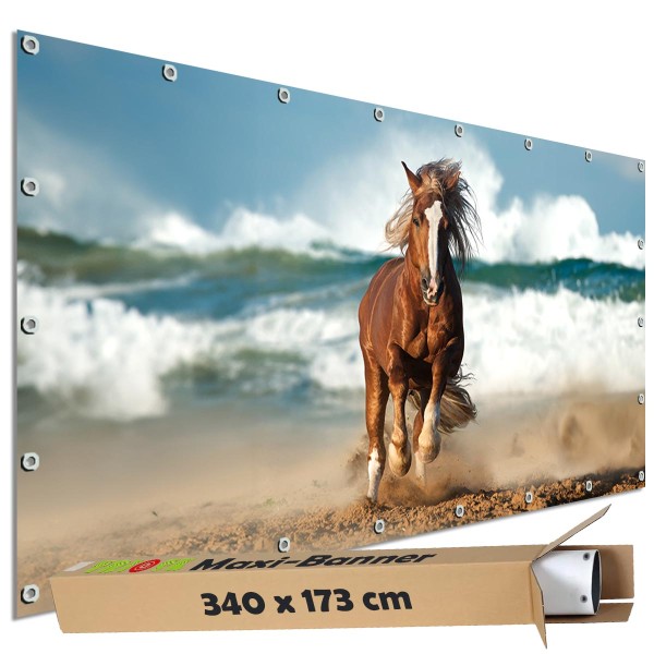 Motivbanner groß "Strandpferd am Meer" Zaunplane Gartenbanner Zaunsichtschutz, 340x173 cm