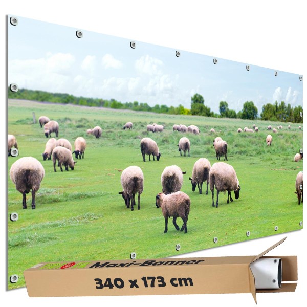 Sichtschutz Garten Zaun Banner Outdoor Deko Motiv Plane Schafherde Weide 340x173 cm groß