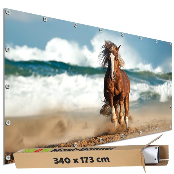 Sichtschutz Garten Zaun Banner Outdoor Deko Motiv Plane Pferd am Meer 340x173 cm groß